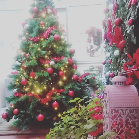 Il Cortiletto Di Piazza Verga Bed and Breakfast